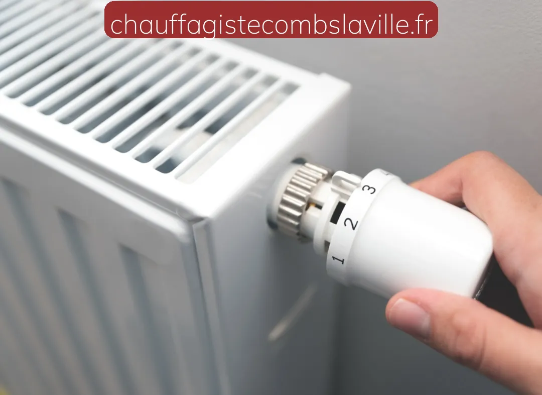 Remplacement de Thermostat Combs-la-Ville